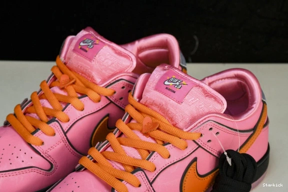 Powerpuff Girls  Nk x Dunk The Low FZ8319-600 SB 1110